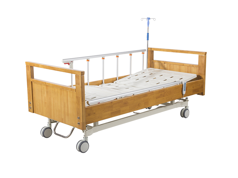 Two Functions Electric Homecare Bed