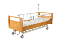 Two Functions Electric Homecare Bed