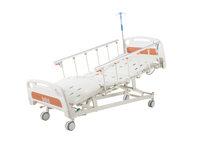 Five Functions Electric Bed